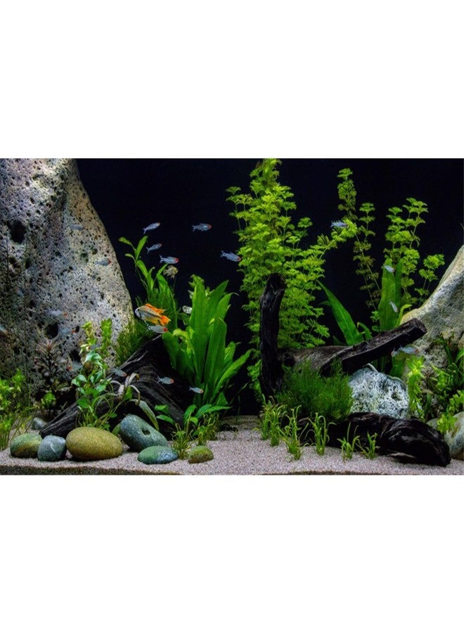 AWERT Vinyl Underwater Aquatic Plant Fish Tank Background Stone River Bed & Lake Aquarium Background 48x24 inches - Image 1